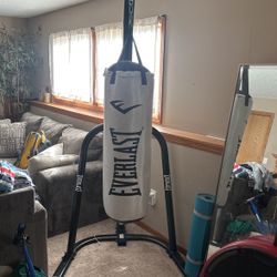 Everlast Heavy Bag And Stand.