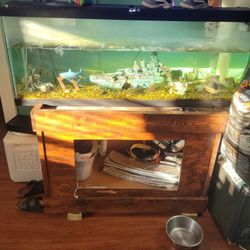 55 Gallon Gish Tank With Stand/dog House
