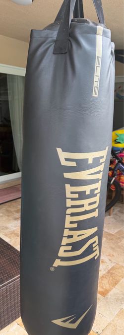 100lb Hanging Training Bag