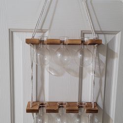 Wall Hanging Plant Propagation 6