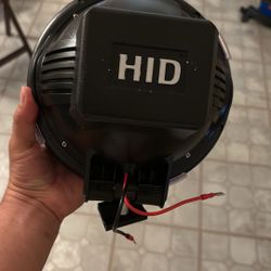 Hid Lights