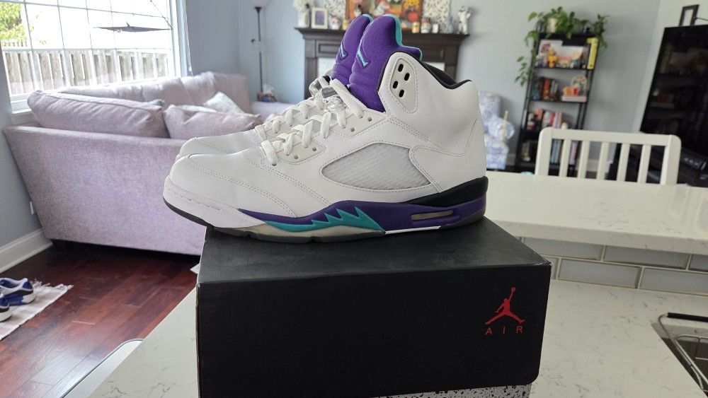 Nike Air Jordan Retro V Grape Sz 13