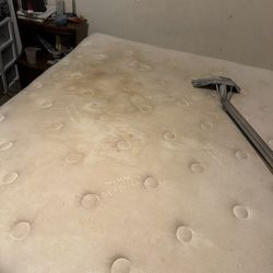 Shampoo Mattresses Cleaner
