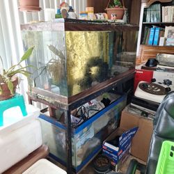 2 Fish Tanks With Wet /dry Filter With Stand