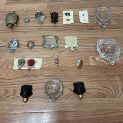 Turtle 🐢 Collection 