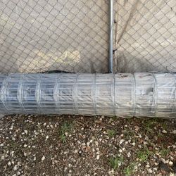 Barbed Wire