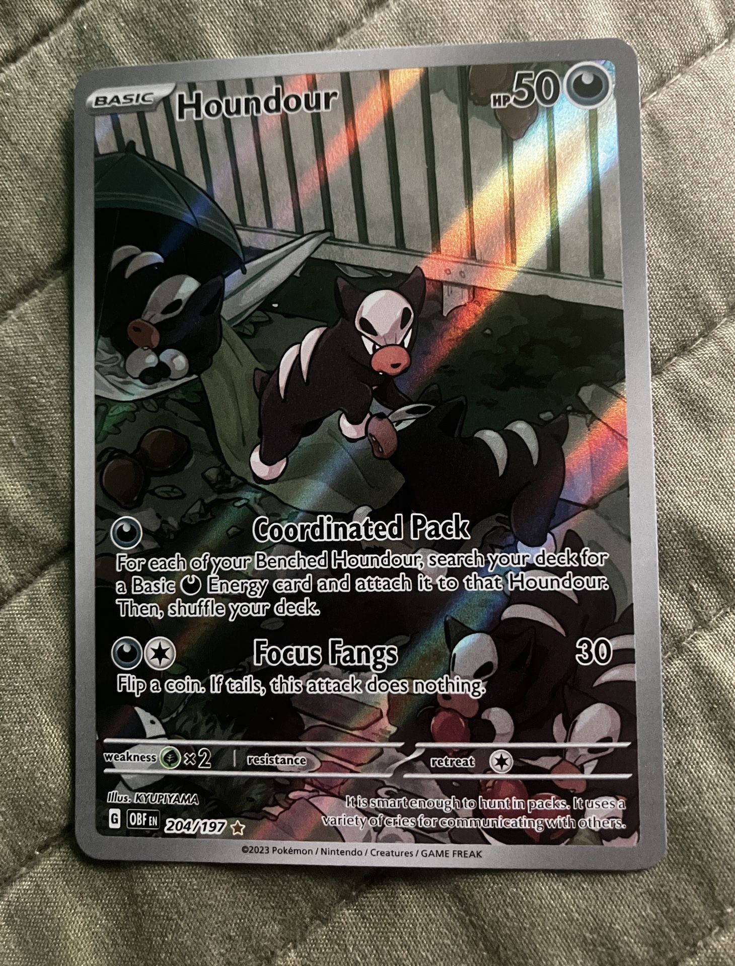 Houndour 204/197