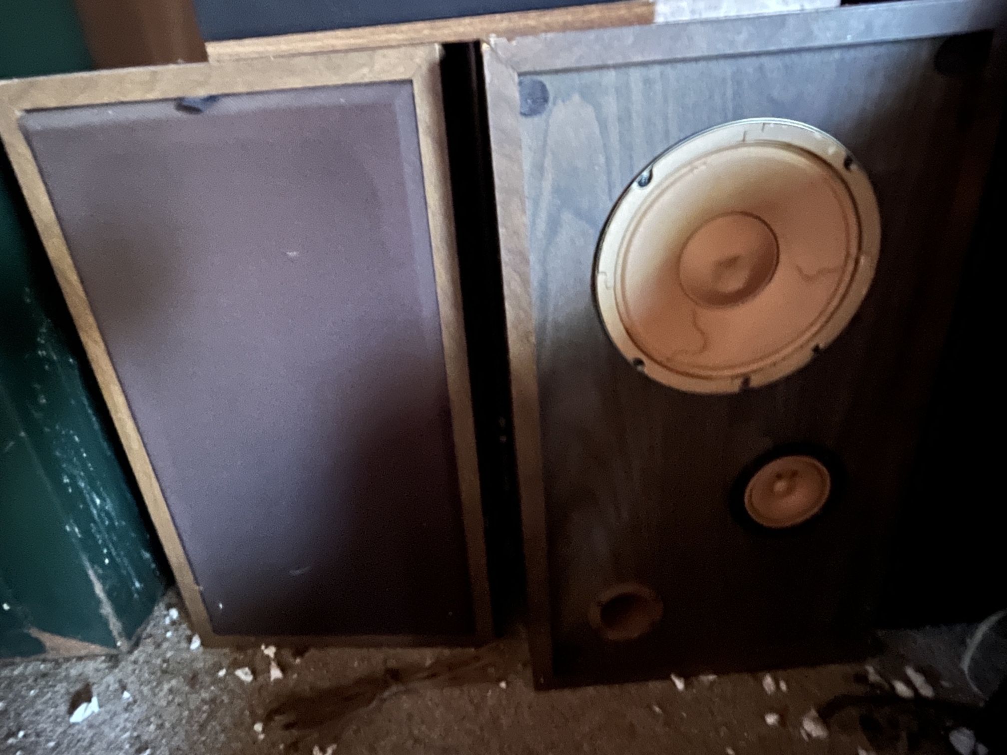 Vintage Realistic Speakers