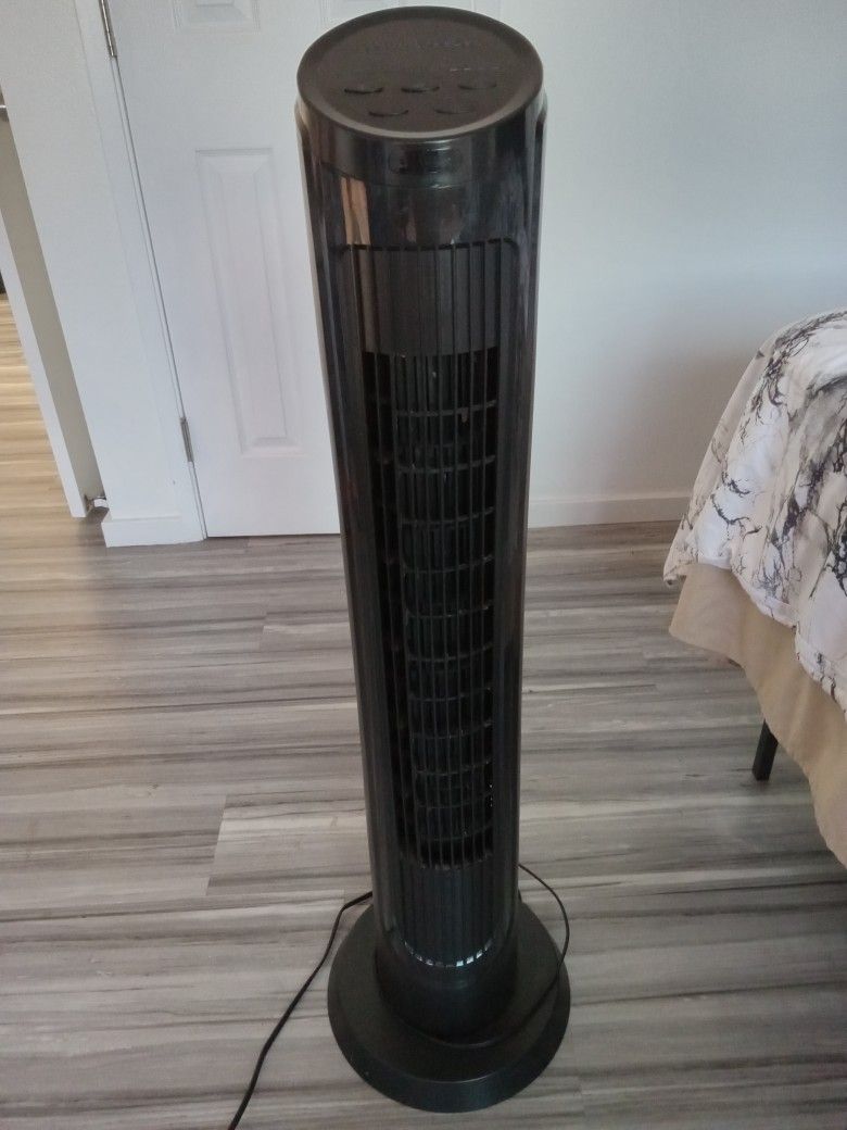 Fan