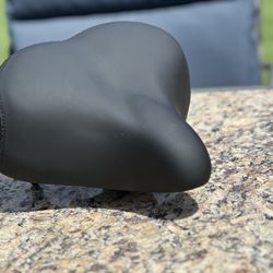 Two Lectric Bikes Comfort Seats