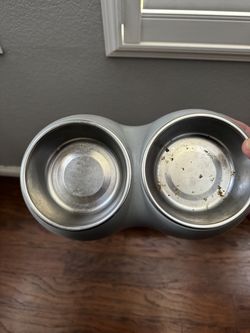 Kitten bowls