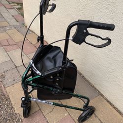 Lifestyle  Walker