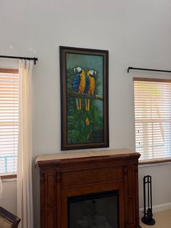 Macaws art with frame