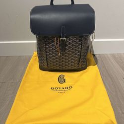 Goyard Bag 