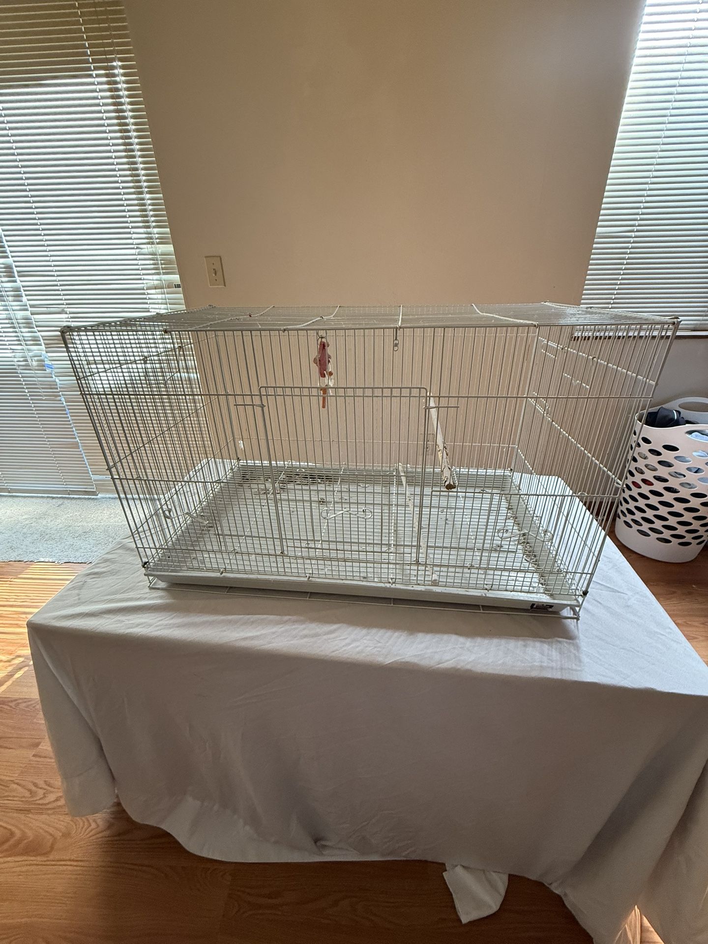 Bird Cage