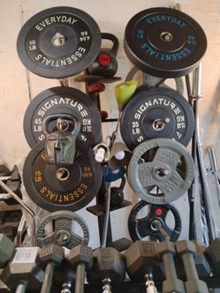 NEW BUMPER PLATES : (PAIRS OF) 45s = $110 / 35s = $80 / 25s = $65 / 15s = $45 / 10s = $35
• I also have RUBBER (5s-90s) DUMBBELLS & STEE