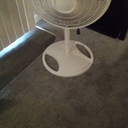 Tall Escalating  Fan