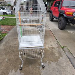 Bird Cage