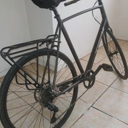 Trek  Gray  Bike 