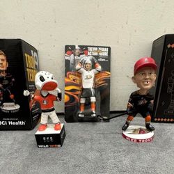 Anaheim ducks bobblehead collection