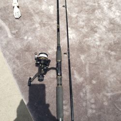 Fishing Pole With Reel 