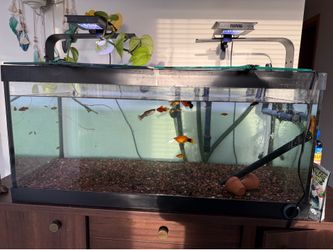 45 gal fish tank