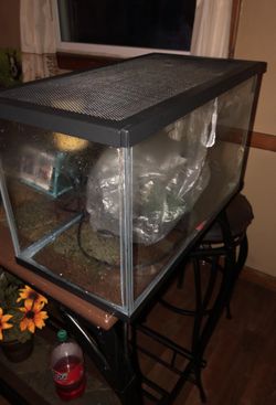20gallon Fish tank