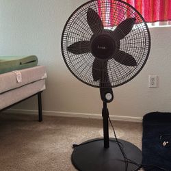 fan
