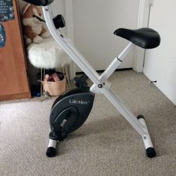 LifeMax Foldable Exercise Bike