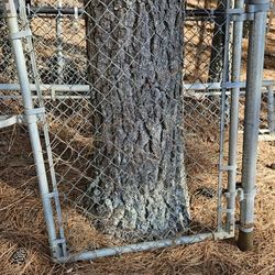 Fence Door