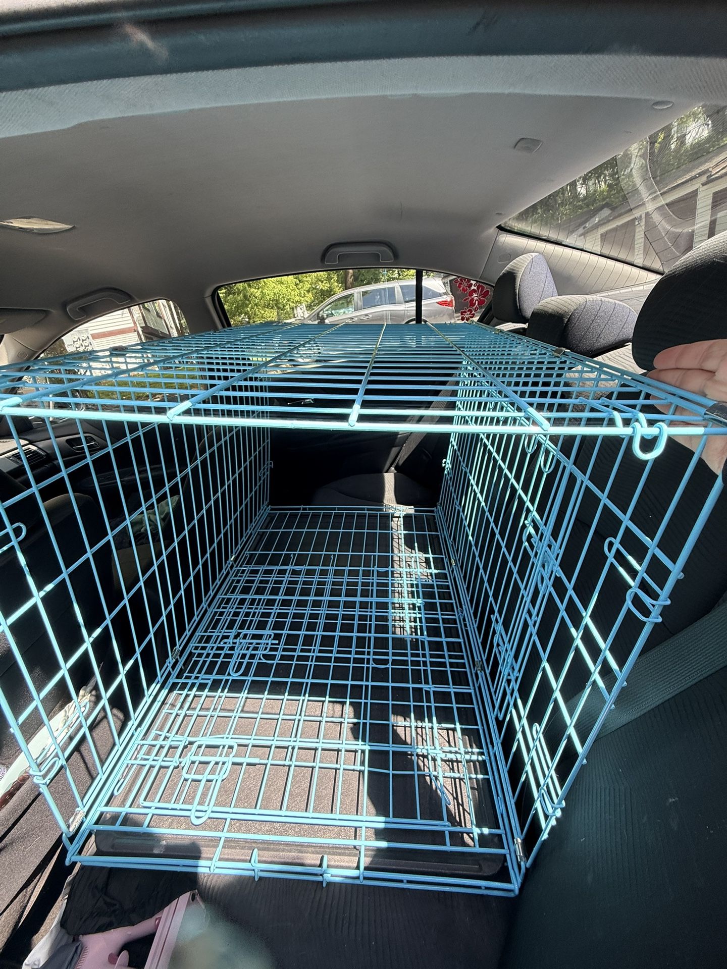 Baby Blue Large Dog Crate