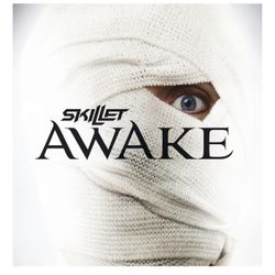 Skillet Awake Vinyl original limited edition