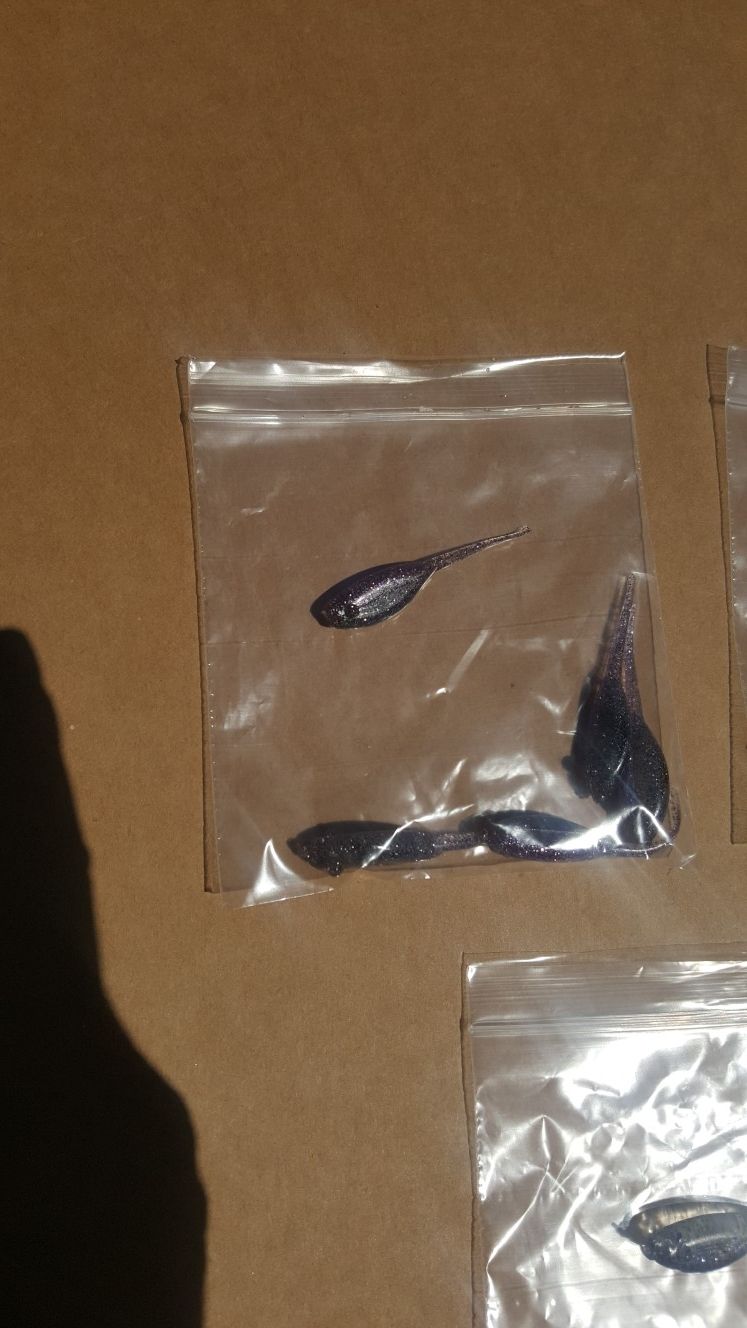 Fishing shad lures black /purple