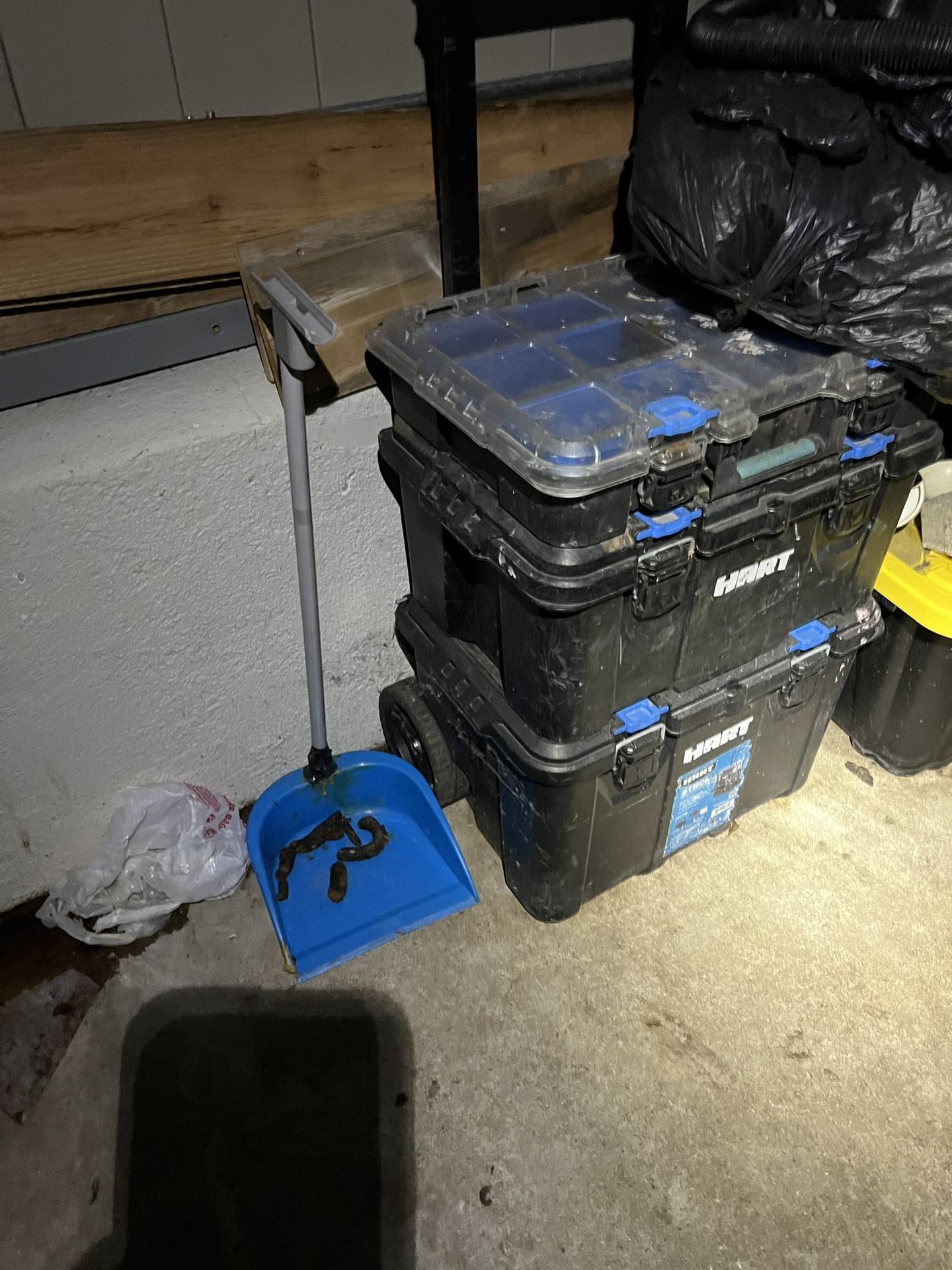 Tool Box Selling For 49 Or Best Offer