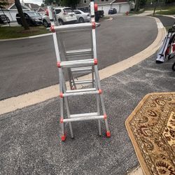 Extendable Ladder 17 Feet 