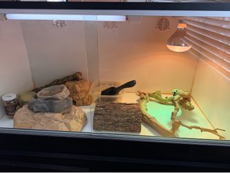 Terrarium