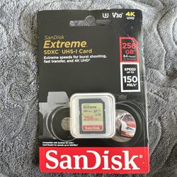 Sandisk 256GB SD