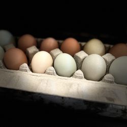 Nest Run Chicken Eggs - 1 Dozen