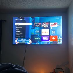 65 INCH 