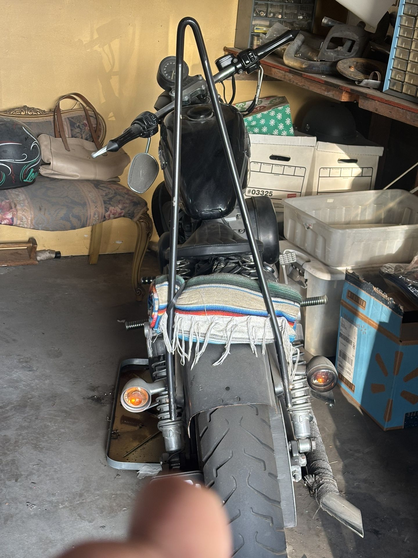 03 Sportster 883 (been Sitting)