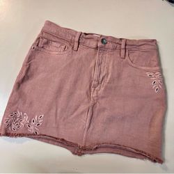 Frame Denim Women’s Embroidered Floral Details Miniskirt Size 27(4)