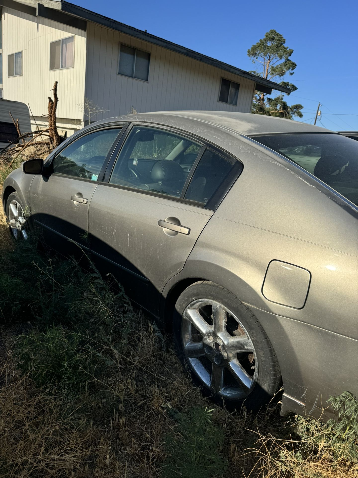 2005 Nissan Maxima