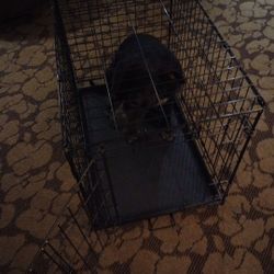 Dog Cage