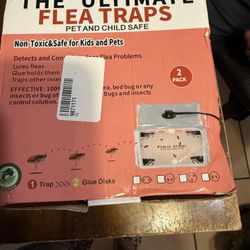 Flea Trap