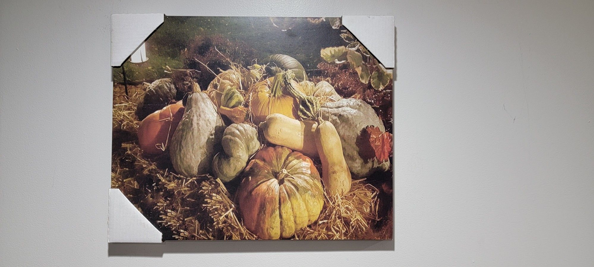 Pumpkins On Framed Canvas