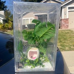 Shoe Box Tank Enclosure Setup