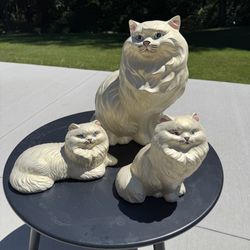 Cats Collection 