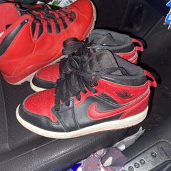 Alternate Bred 1s Sz 2y