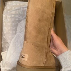 Uggs; New