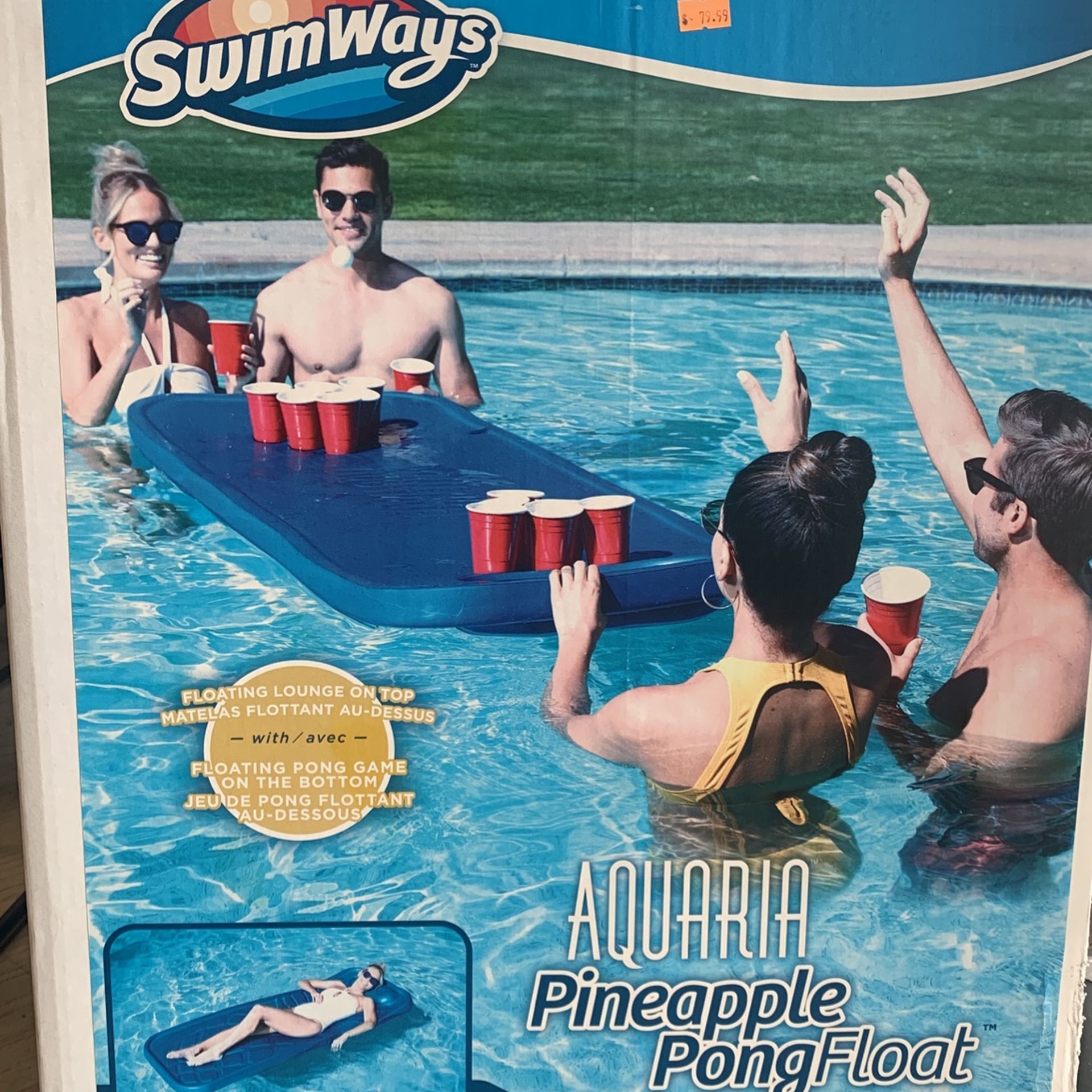 Swimming Pool Aquaria Floats Swim Ways Aquaria Pineapple Pong Float